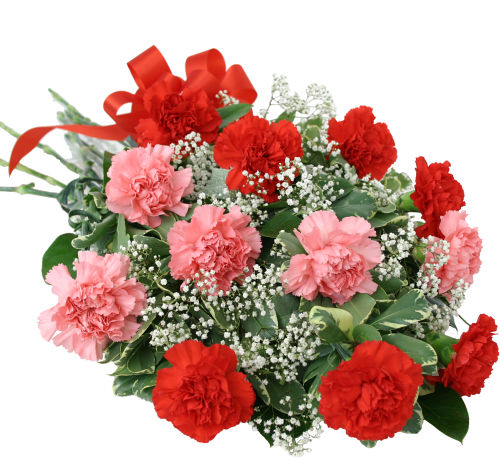 Pink & Red Carnations Bouquet