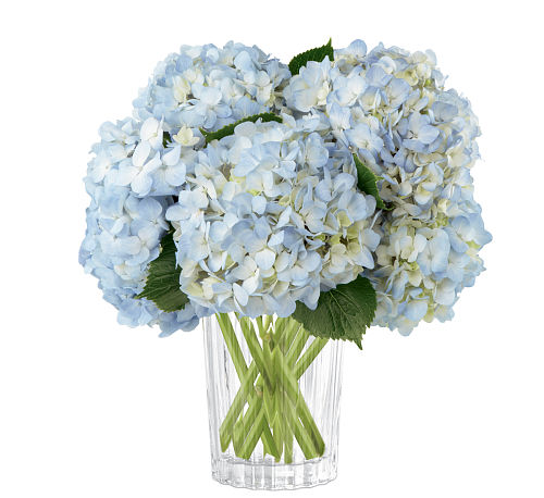 FTD® Joyful Inspirations Bouquet