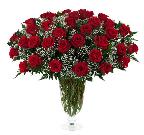 34 Red Roses